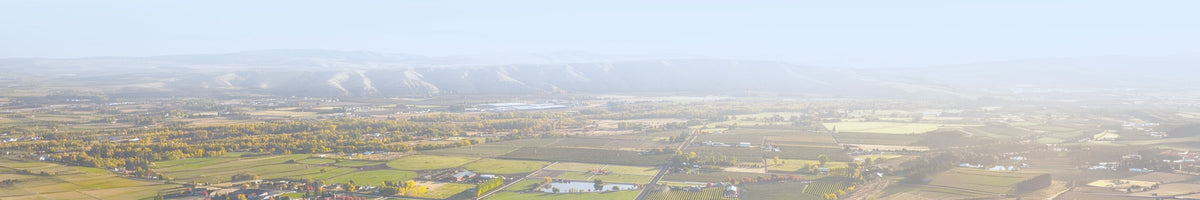 Full width image